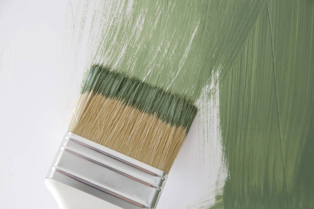 Best Attic Mold Removal  in Lookout Mountain, AL