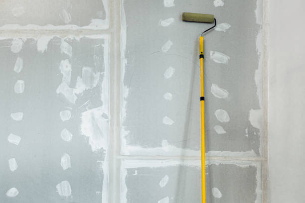 Best Black Mold Removal  in Lookout Mountain, AL