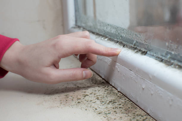 Best Air Quality Testing for Mold Spores  in Lookout Mountain, AL