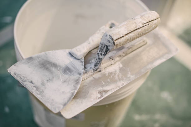 Trusted Lookout Mountain, AL Mold Removal Experts